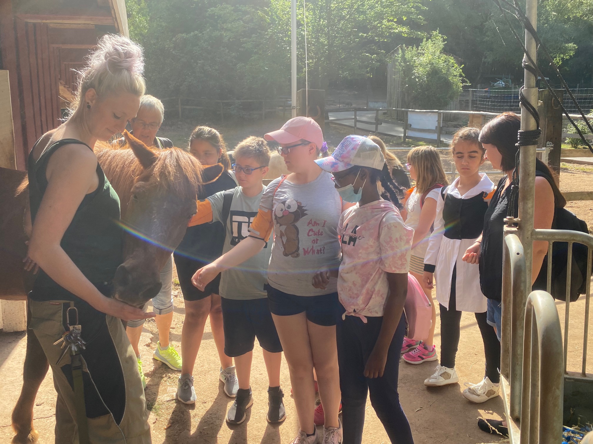 bei%20den%20Islandponys bei%20den%20Islandponys